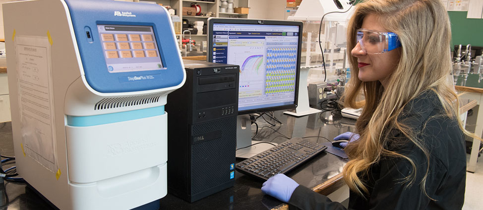Applied Biosystems StepOne Plus™ Real-Time PCR