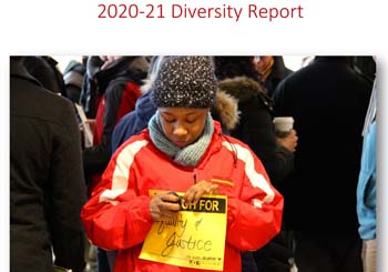Diversity Report image
