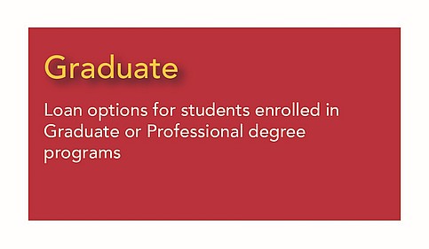 Graduate - options for students in graduate or professional degree programs