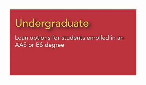 Undergraduate - options for students enrolled in an AAS or  BS degree
