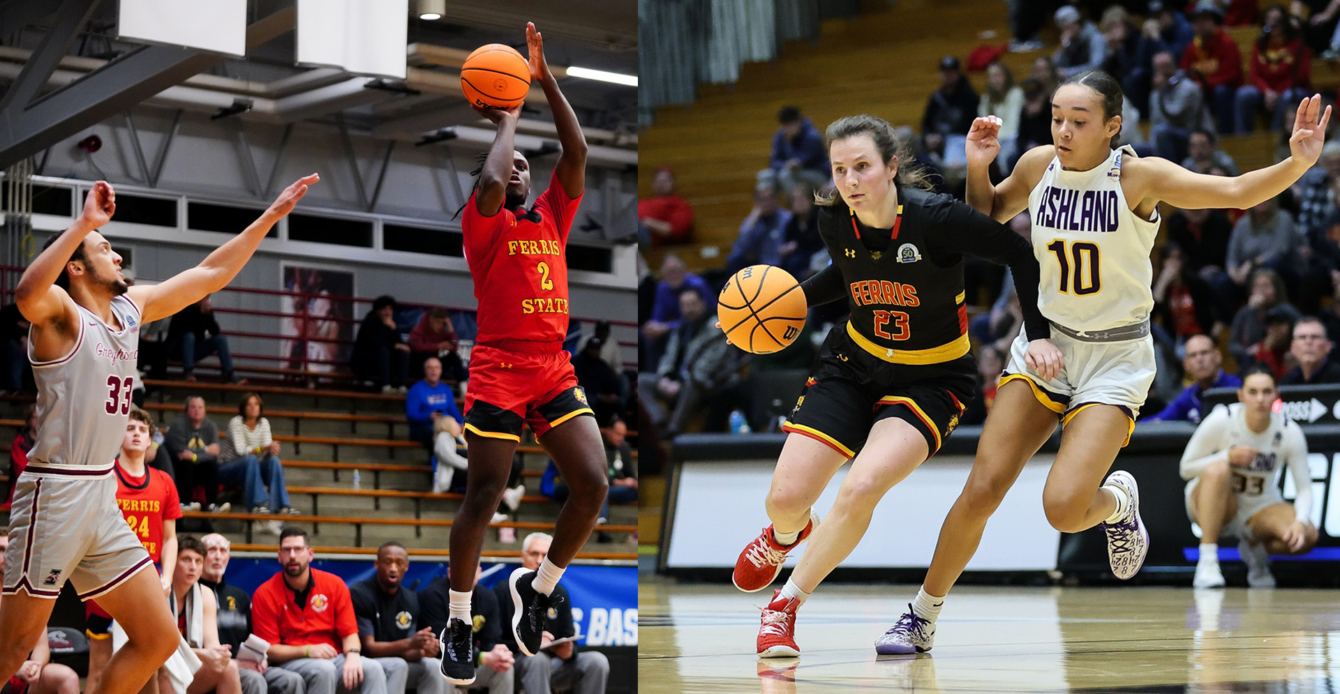 Both Ferris State Basketball Teams in NCAA DII Sweet Sixteen as Men Oust Top Seed, Women Dethrone Defending National Champions