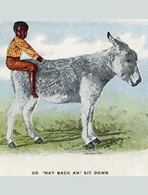 Back of the donkey