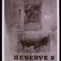 Reserve 2