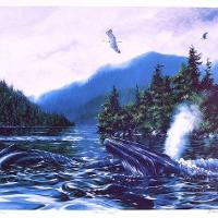 Return To Clayoquot