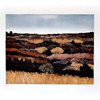 Mason - Distant Field State 1