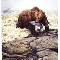 Northwest Ledgend - Grizzly Bear