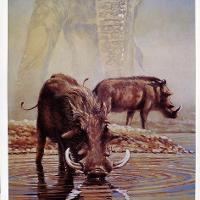 Tsavo Waterhole