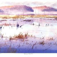 Morning - Holmes Pond