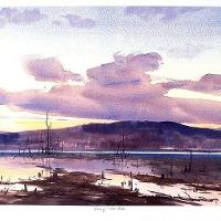 Evening - Loon Lake
