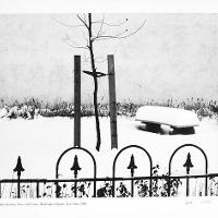 Fense with Snow, Washing Square, NY