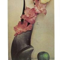 Gladiola-Apple Still Life