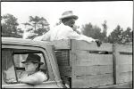 Sharecropping truck