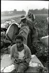 Sharecropping