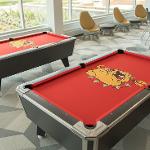 North Hall pool tables