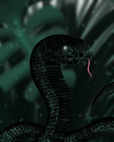 Digital Art and Design
