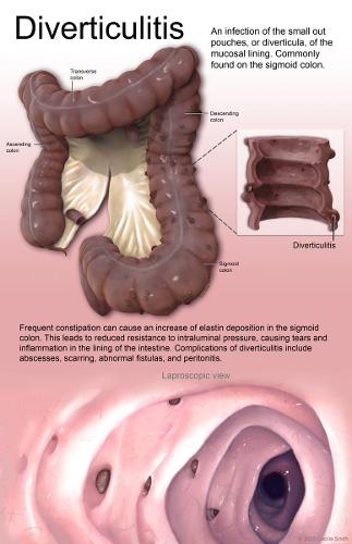 Life Sciences and Pre-Medical Illustration