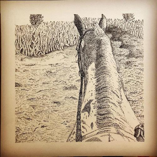 Christina Pixley work