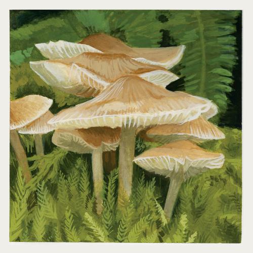 Jaci Hagedorn artwork