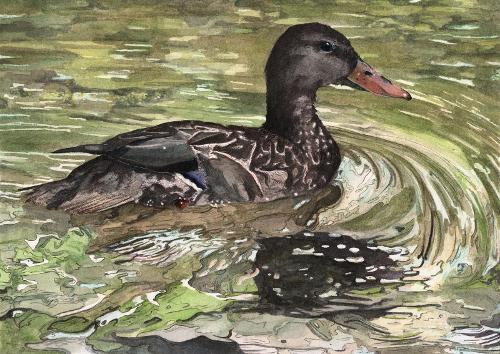 Francesca Smorch artwork