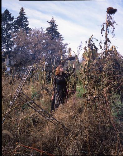 Novalí Centellas work