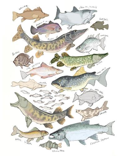 Erin Graham work