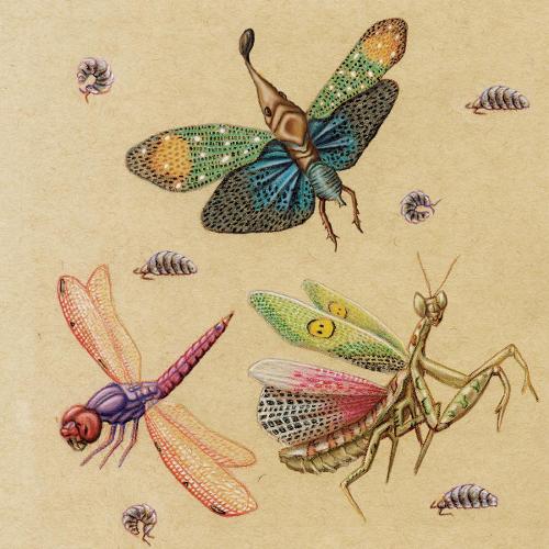 Noelle Nixon work
