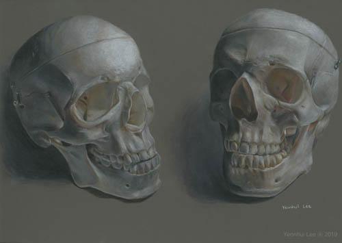 Life Sciences and Pre-Medical Illustration