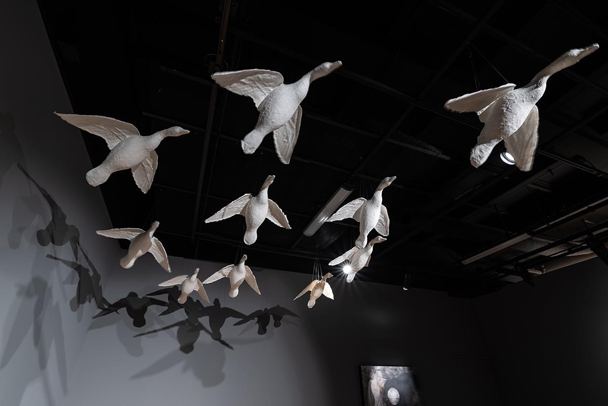 An installation of a flock of geese, mid-flight, made of paper.