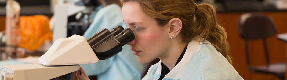 Honors student in biology lab