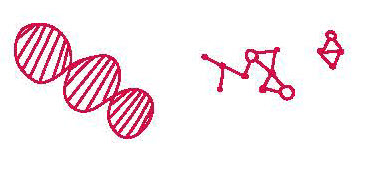 Biotechnology Summer Experience