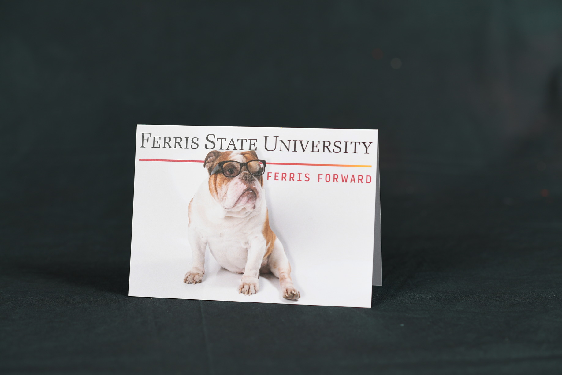 invite card 2