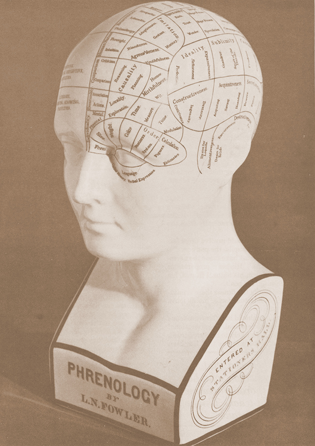 Model Phrenology Head