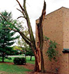 Tornado Damage