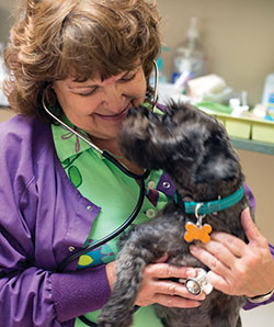 Dr. Sandra Strandberg holding a friendly dog
