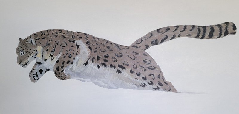 A flat oil painting of a snow leopard bounding throught the snow