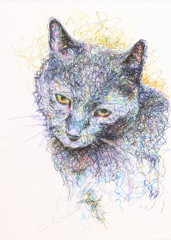 A realistic colored pencil drawing of a gray cat