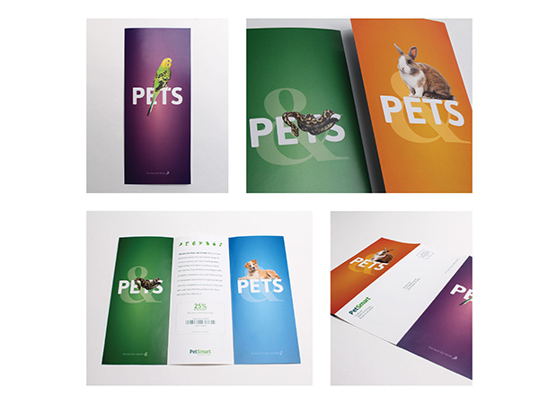 PetSmart brochure mockups including variations with a bird, snake, dog, and rabbit.