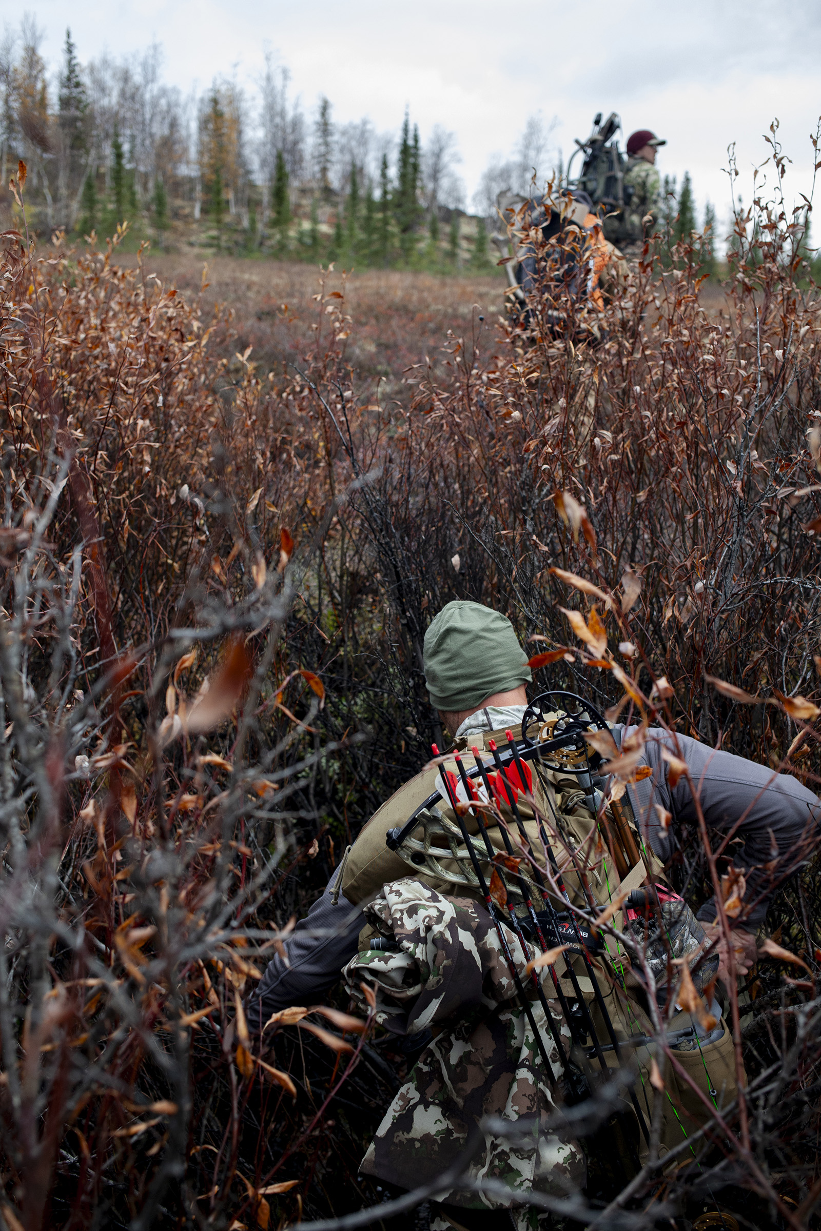 A person with bow hunting equipment kneeling down in a bush during the fall season.