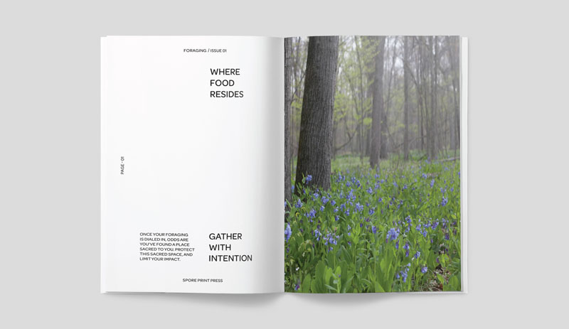 A magazine spread showing people gathering wild food