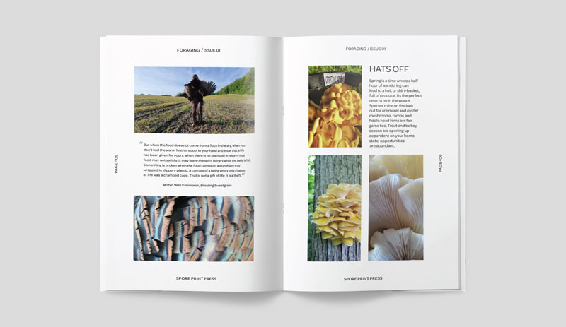 A maagzine spread showing people foraging for wild mushrooms