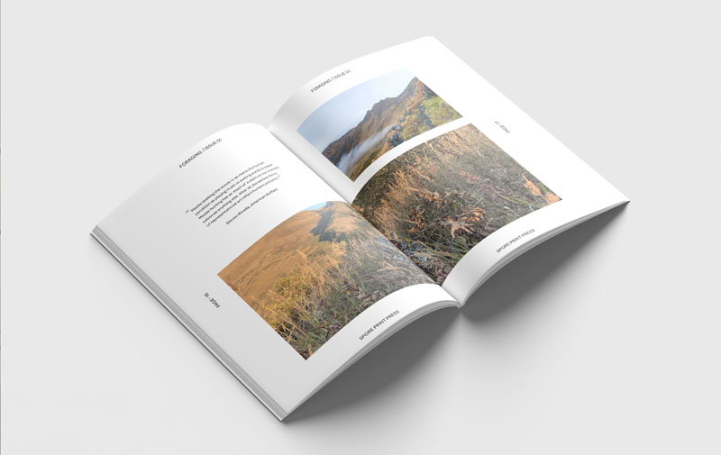 A magazine spread showing a grassy meadow