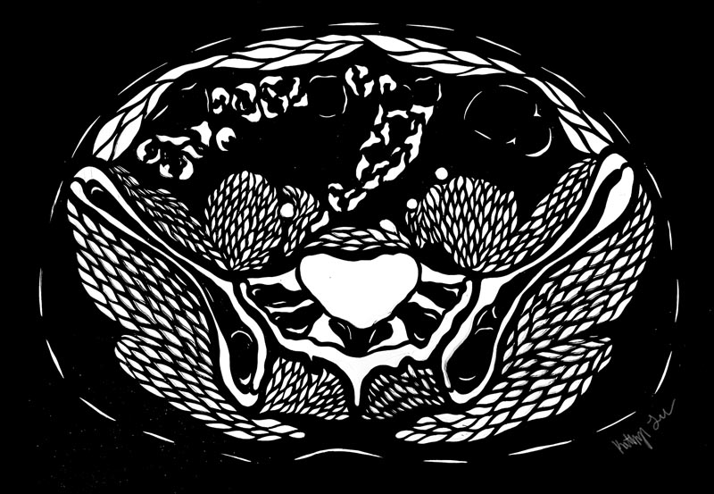 medical illustration of vertabrae