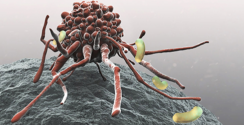 Digital illustration of bacteria