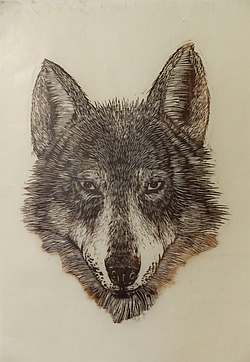 Kathleen VanDeMark – Wolf series