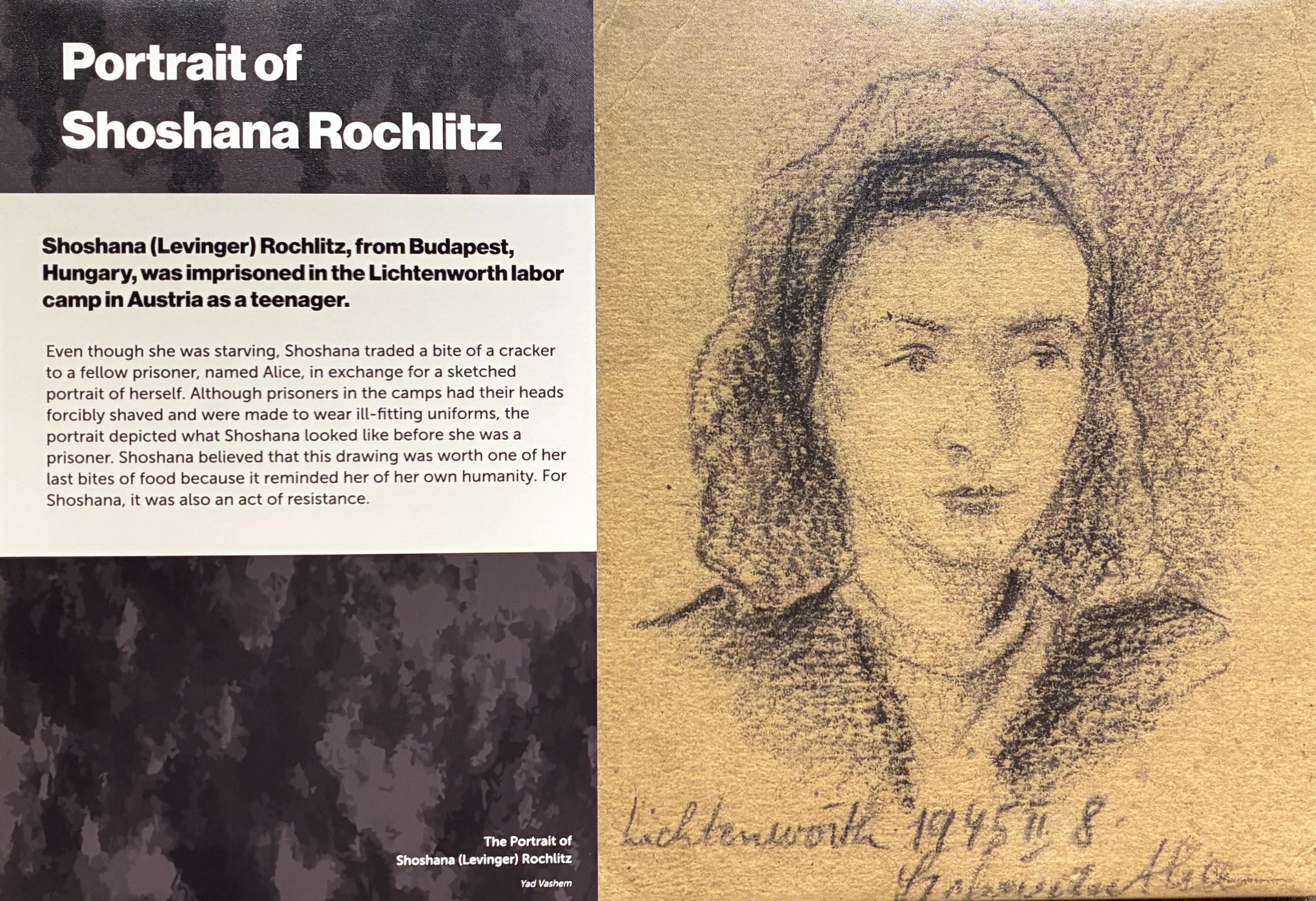 artistic portrait with text describing the line drawn image