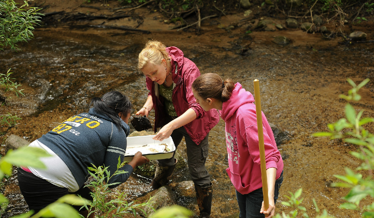 Students working at the river