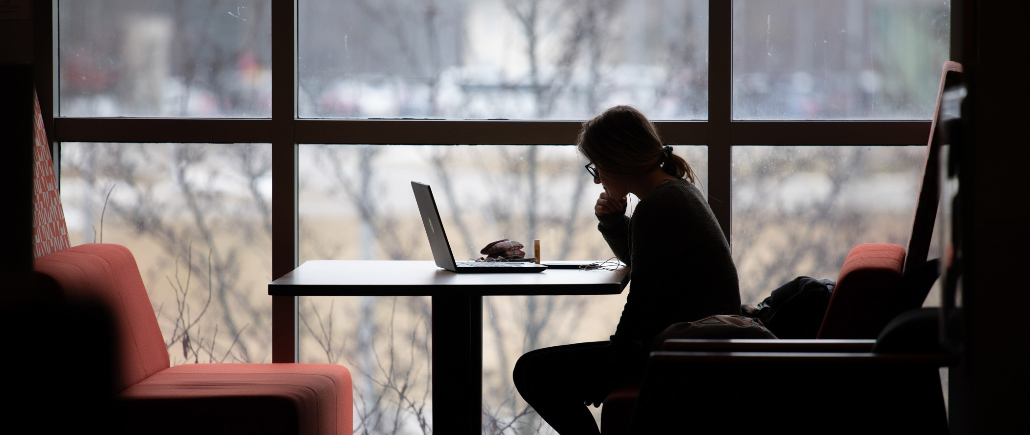 Student Studying