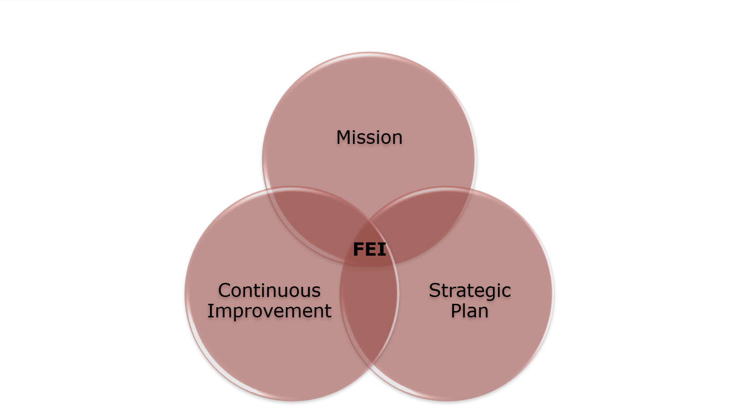 Venn diagram with three cirlces. The top circle is labeled "Mission". The bottom left circle is labeled "continuous improvement". The bottom right circle is labeled "strategic plan." Where the three circles converge is labeled "FEI".
