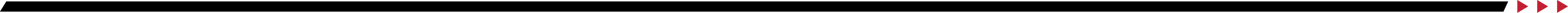 Speedline with Triangles