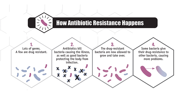 how antibiotic resistance happens